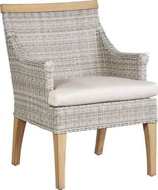 Hamptons Cove Gray Outdoor Arm Chair with Flax Cushion