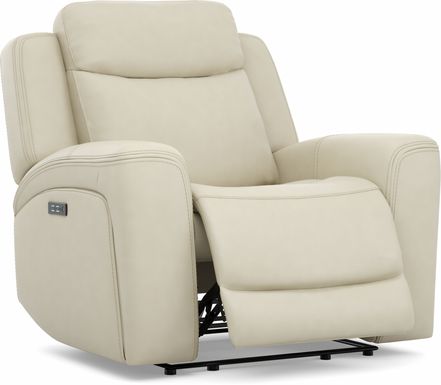 Davidson Platinum Leather Dual Power Recliner