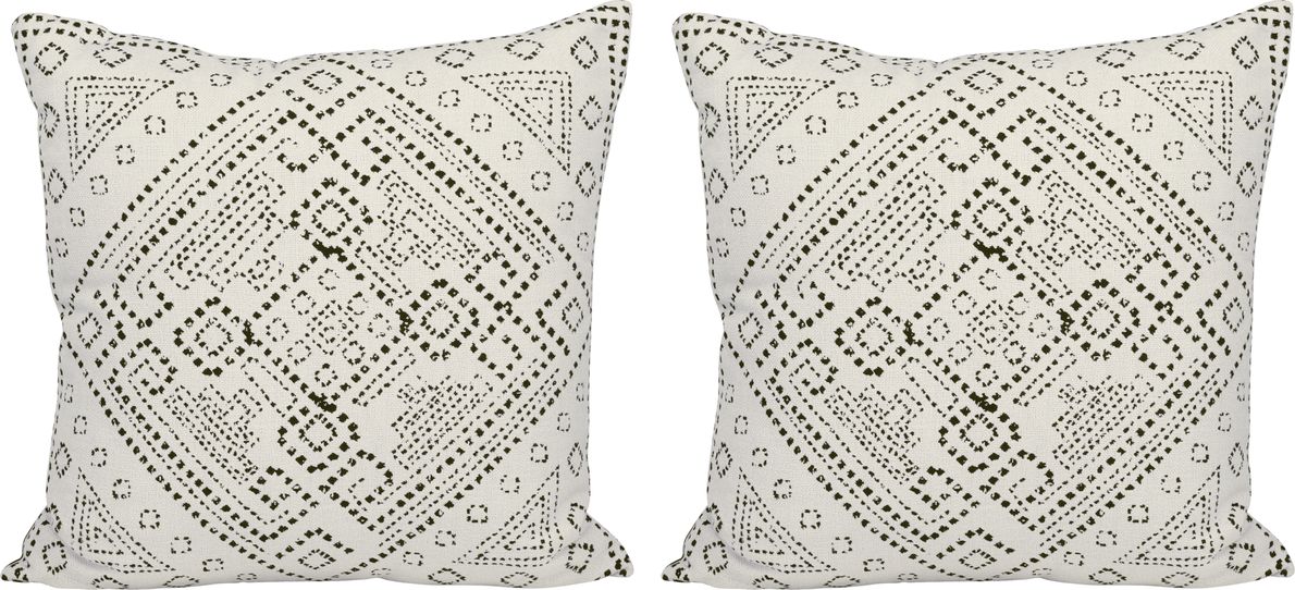 Set of best sale two throw pillows