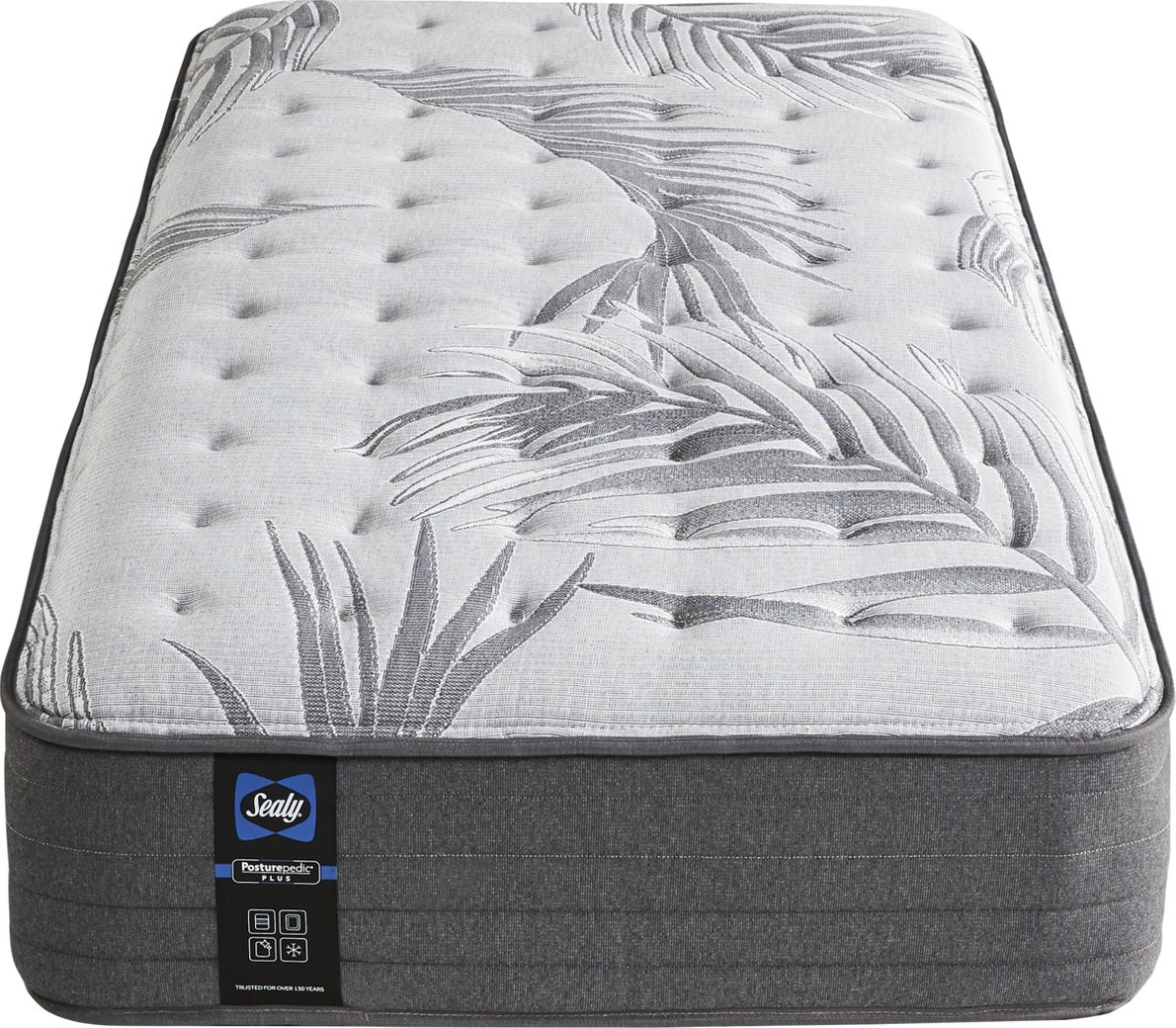 Sealy lockfield deals mattress