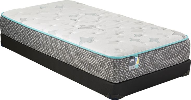 Sealy Z-501 Low Profile Twin Mattress Set